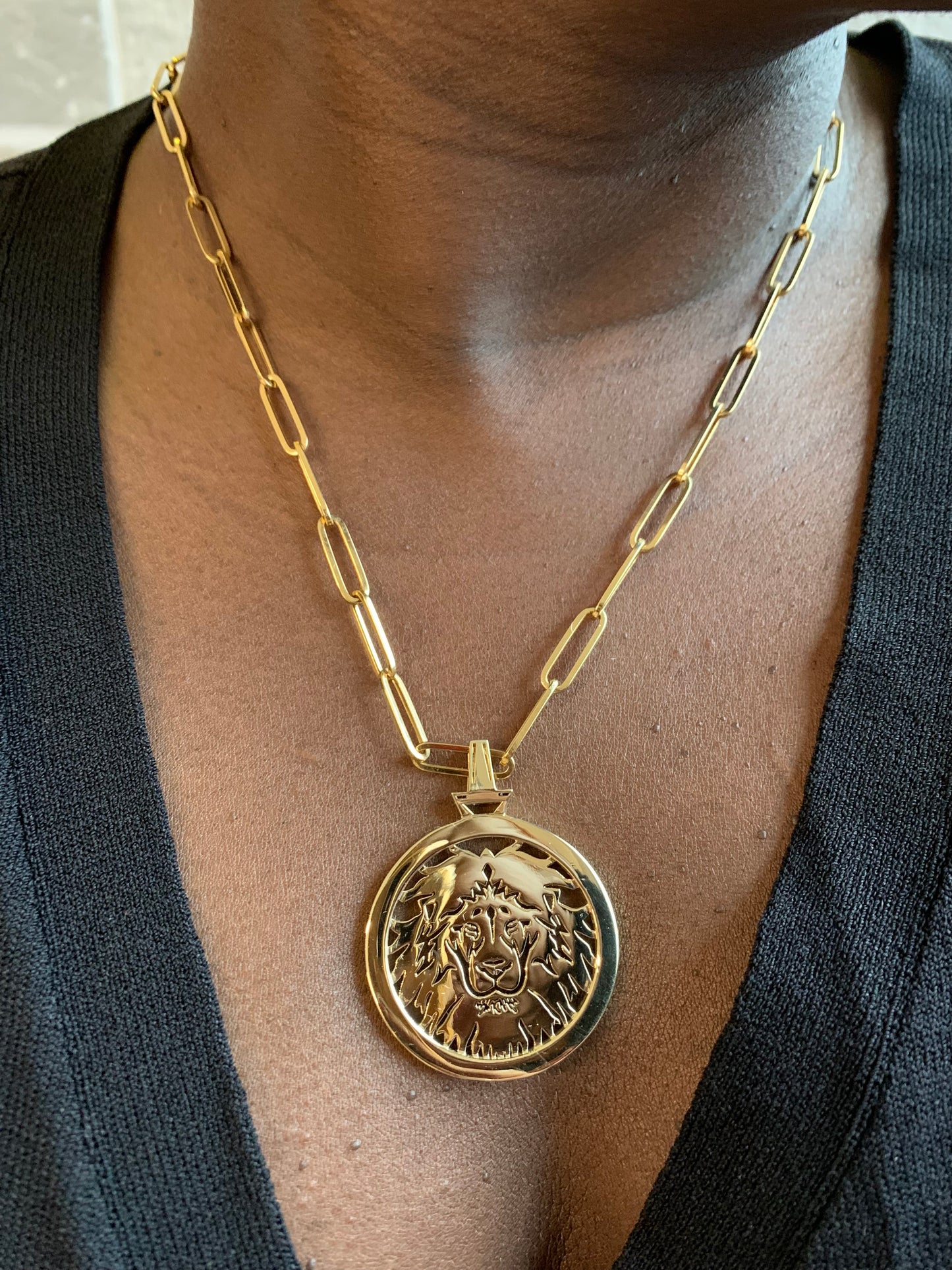 Lion Sol Medallion
