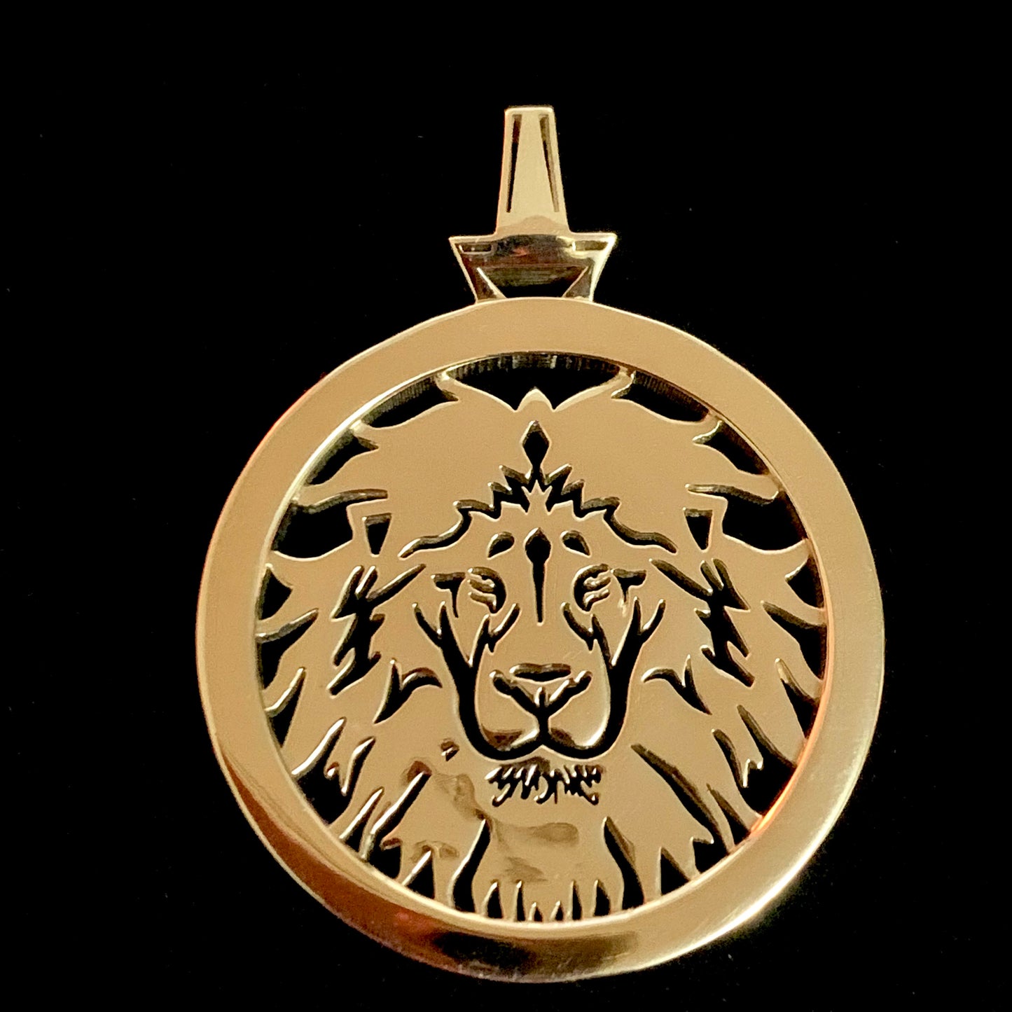 Lion Sol Medallion